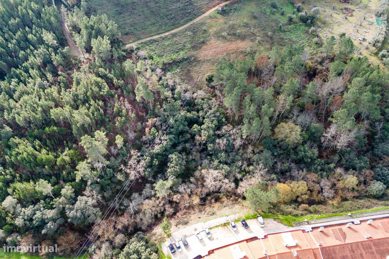 TERRENO RUSTICO | 1390M2 | CASAL DA HORTA | SERTÃ - Grande imagem: 3/33