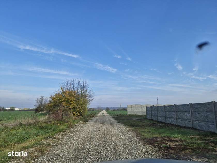 Teren langa case cu utilitati, lac la 300 metri,700 mp, 41500 euro-2