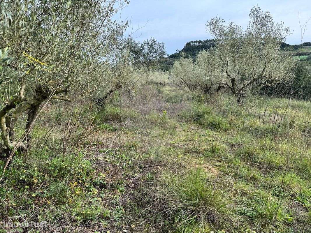 Terreno  para venda - Grande imagem: 5/5