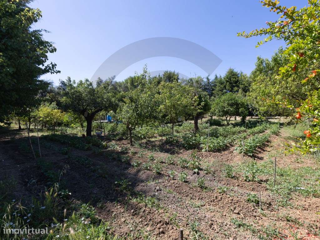Quinta com Cerca de 1 Hectare | Potencial de Autossustentabilidade ...-11