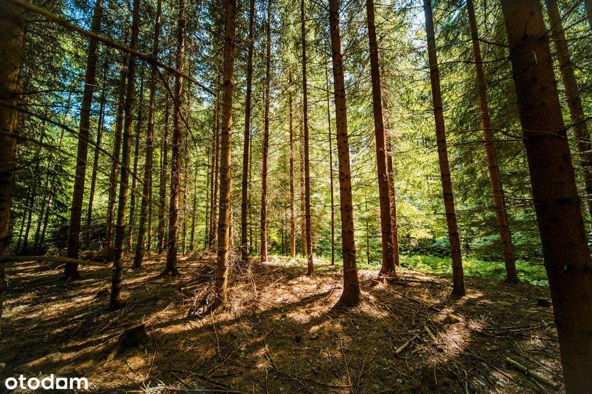 Działka budowlana z linią brzegową górskiego potoku-10