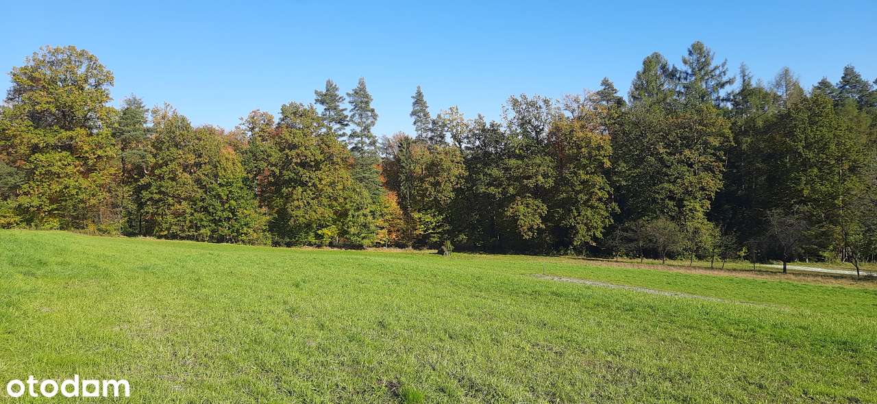 Działka w Izdebniku, dojazd, słońce-8