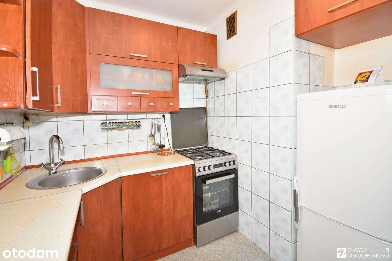 Wysoki parter, 2 pokoje z widokiem na zieleń-1