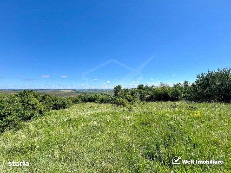 Oportunitate investitie, Chinteni, zona Macicas 31.600 MP - Imagine principală: 3/9