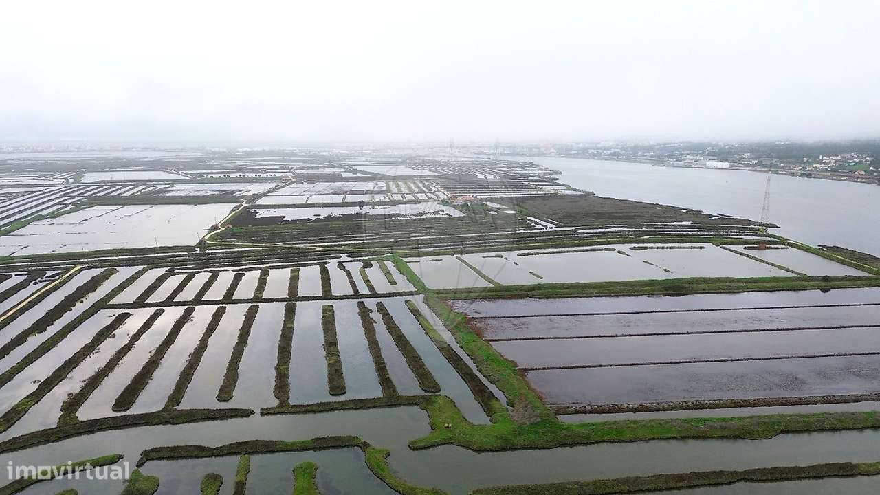 Investimentos  para venda - Grande imagem: 5/6