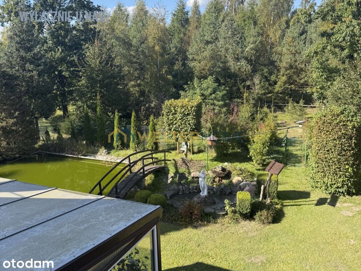 Piękna Nieruchomość, Działka 1,5 ha-16