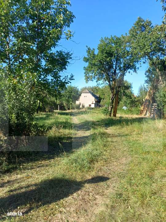 Casa taraneasca cu 3 camere, Turia Jos, - Imagine principală: 4/12