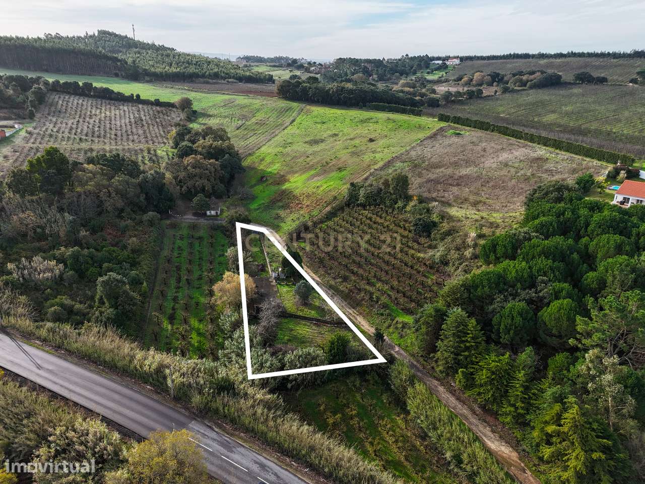 Terreno com cerca de 1520 m², na freguesia da Vermelha,  concelho do C - Grande imagem: 2/28