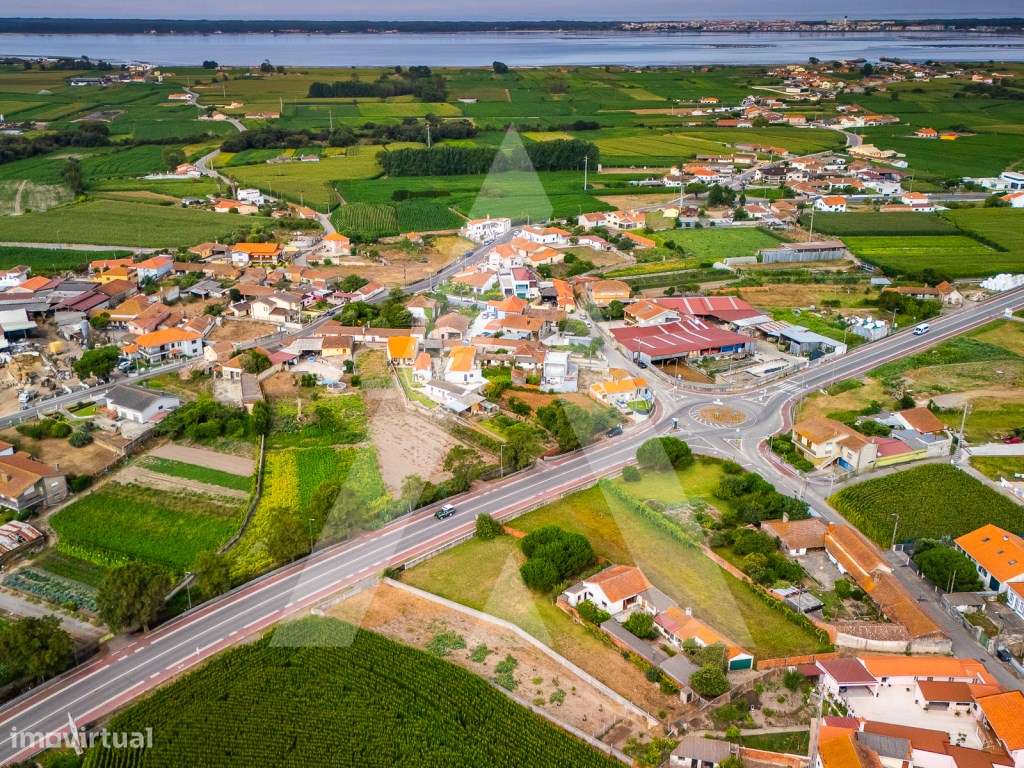 Terreno construção moradia - Murtosa - Ria de Aveiro-10