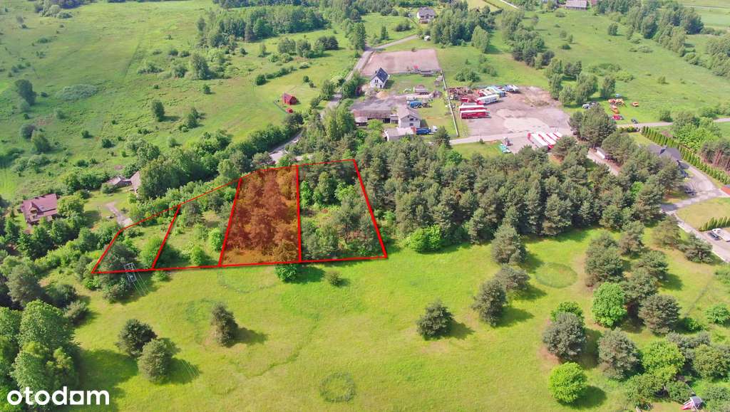 Idealna działka na wymarzony dom w otoczeniu lasu - Pełny obrazek: 4/14