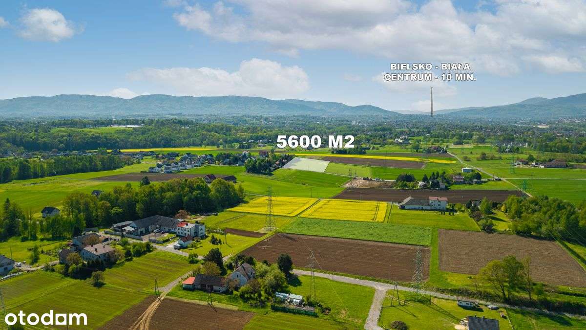 Dla Inwestora lub pod komfortową rezydencję! - Pełny obrazek: 3/5