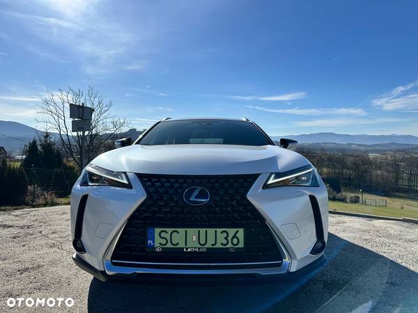 Lexus UX 300e 54.3 kWh Business Edition 2WD - 19
