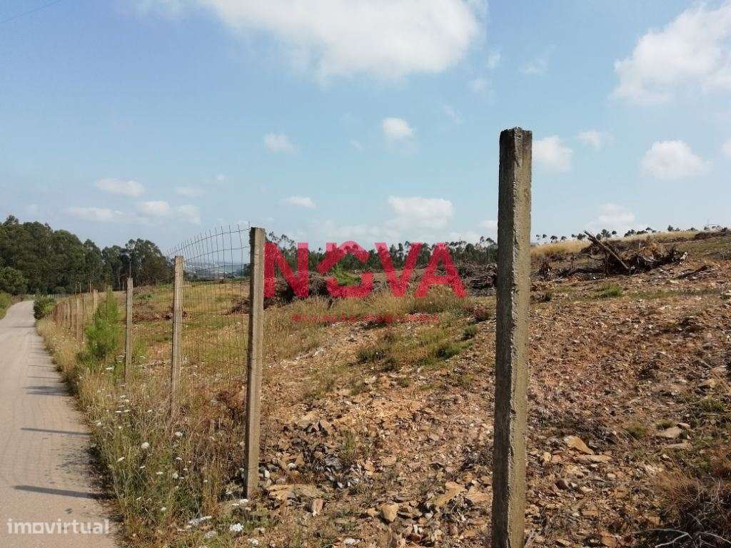 Terreno Urbano  Venda em Rates,Póvoa de Varzim - Grande imagem: 2/4