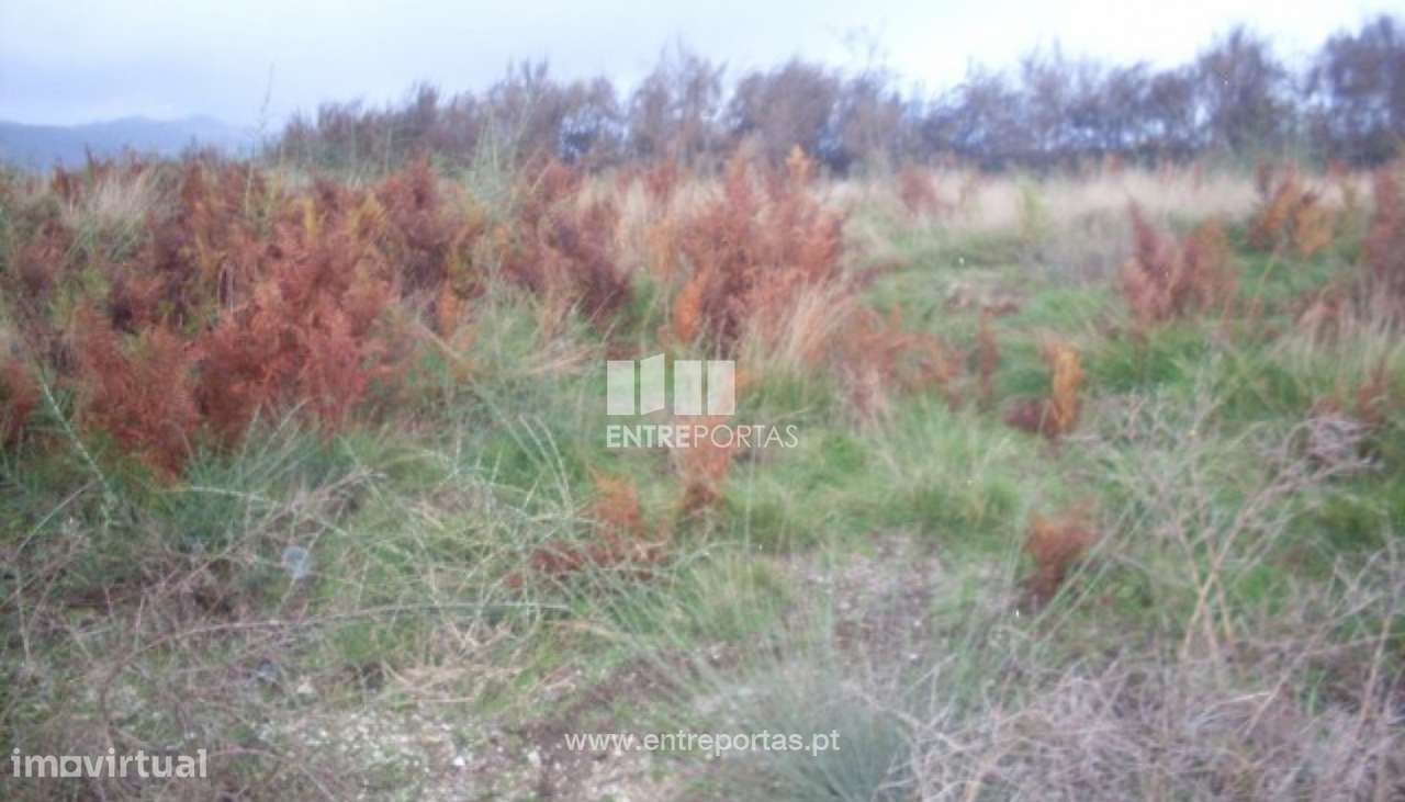 Venda Lote, Grilo, Baião - Grande imagem: 5/29