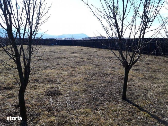 Parcela ingradita in Tractoru zona Ioan Popasu-4