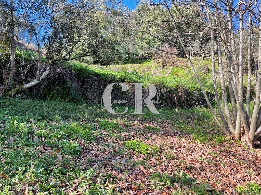 Casa de 4 quartas renovada com terreno em Vila Nova de Poiares-39