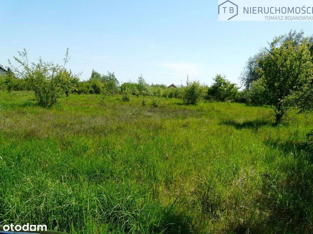 Działka Budowlana Lusowo 4000 m2 Gm. Tarnowo Pod - Pełny obrazek: 4/11