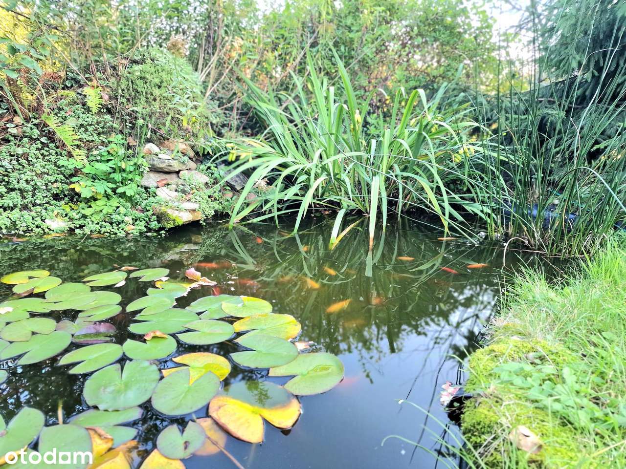 Parterowy dom wolnostojący - Pełny obrazek: 5/7