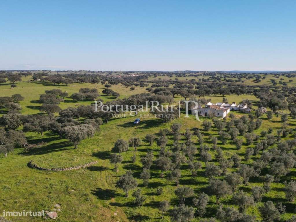 Herdade de 18 hectares perto de Estremoz-23