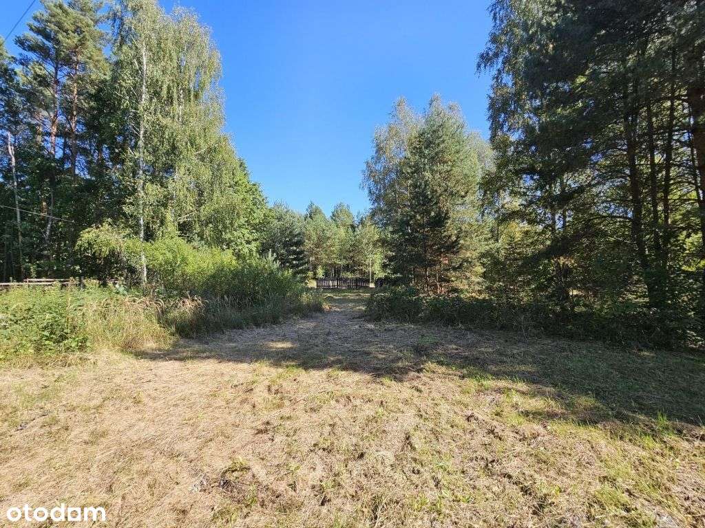 Działka w otoczeniu lasu - Pełny obrazek: 5/6
