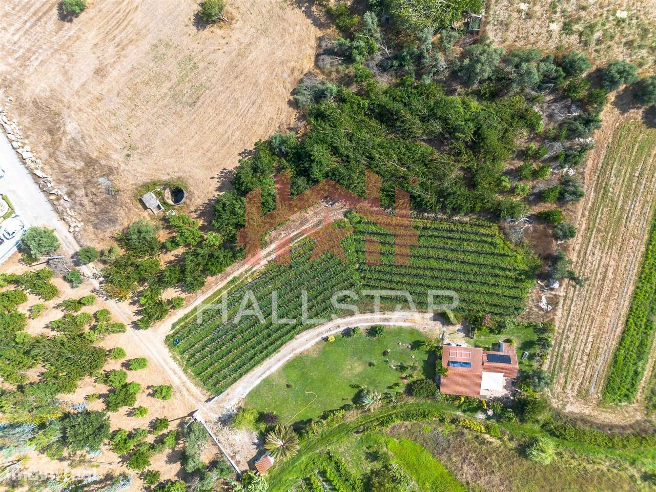 Terreno para construção / Área de 1848m² / Souto da Carpalhosa-7