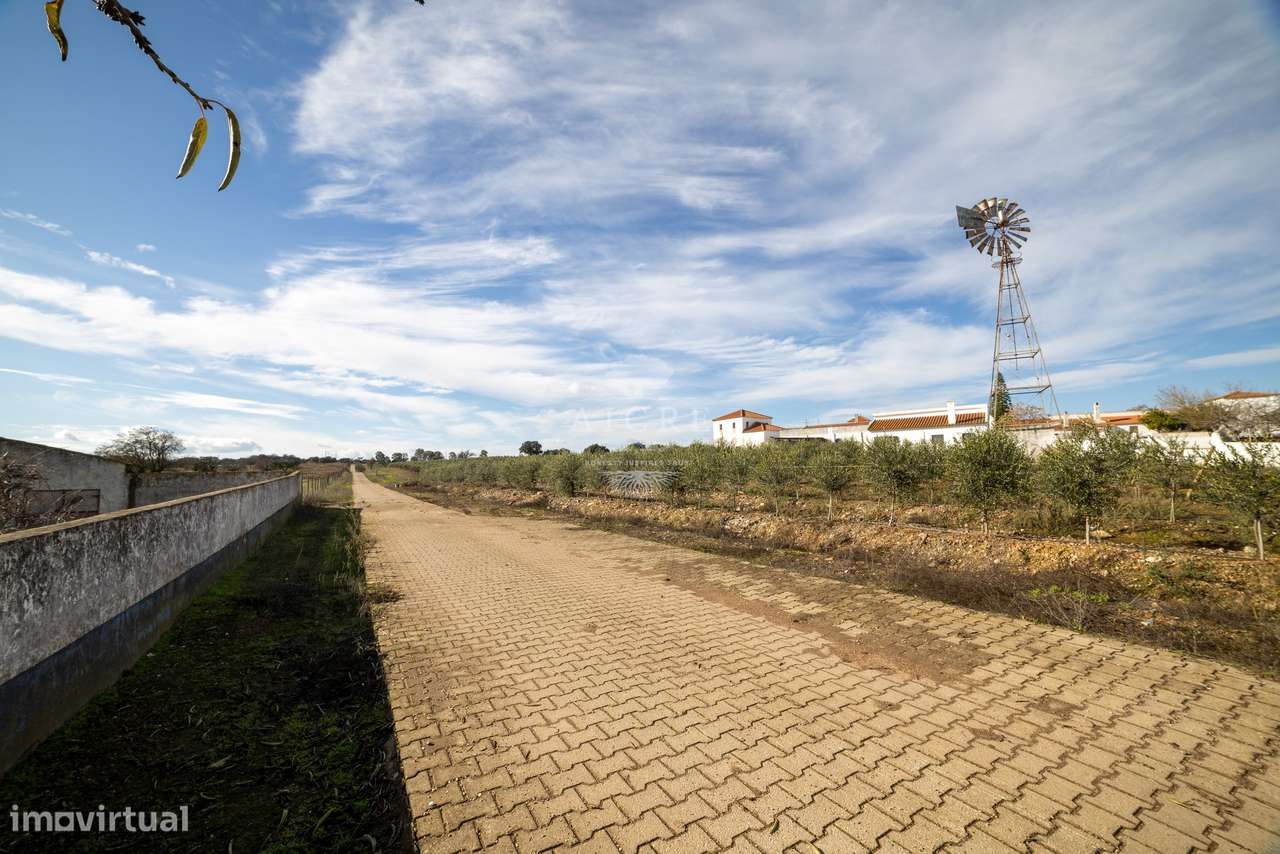 Herdade Alentejo-18