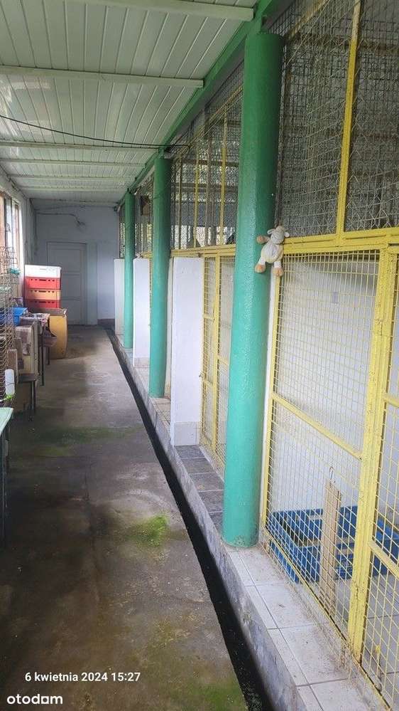 Dom, 106 m², Sierakowo-14