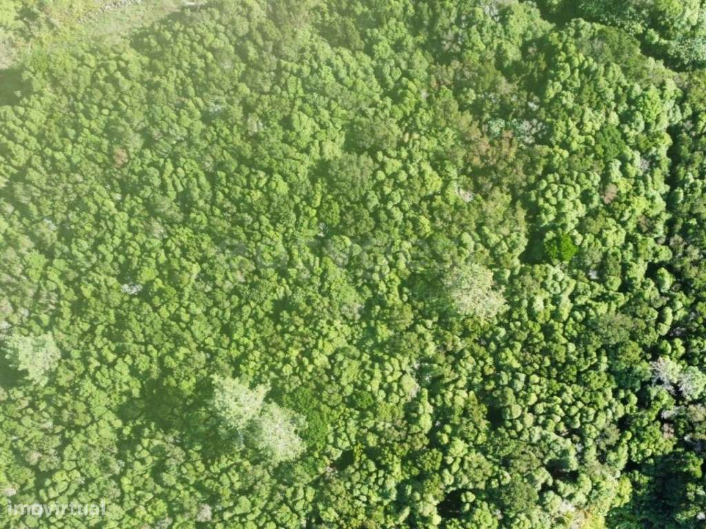 Terreno em zona típica da ilha do Pico com vista mar e montanha - Grande imagem: 3/20