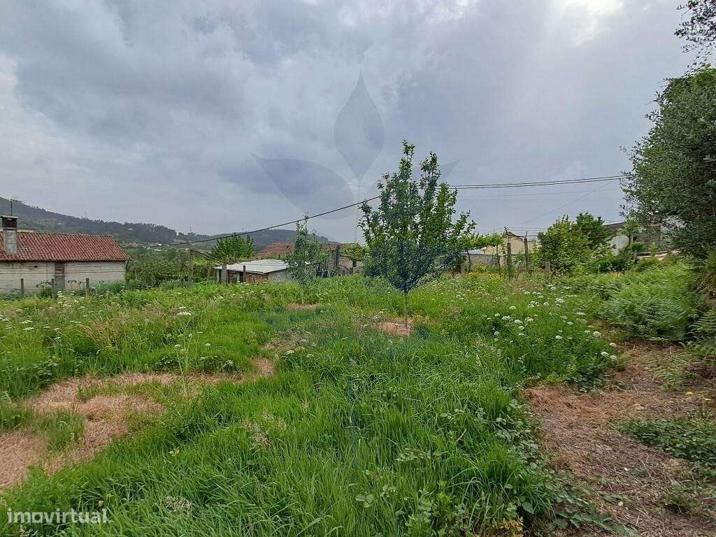 Terreno p/construção Ribeira do Neiva - VILA VERDE-10