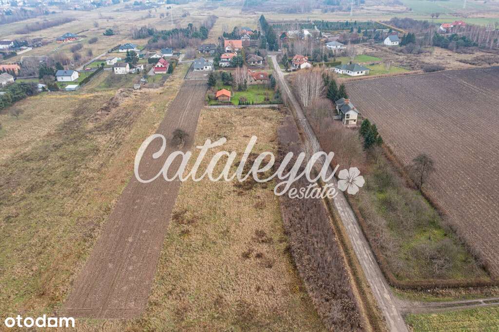 Inwestycja/budowlana/pod Warszawą/Las/Łąki - Pełny obrazek: 5/15