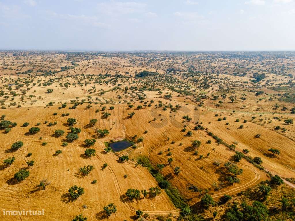 Herdade em Vila Nova de São Bento | 172 hectares-16