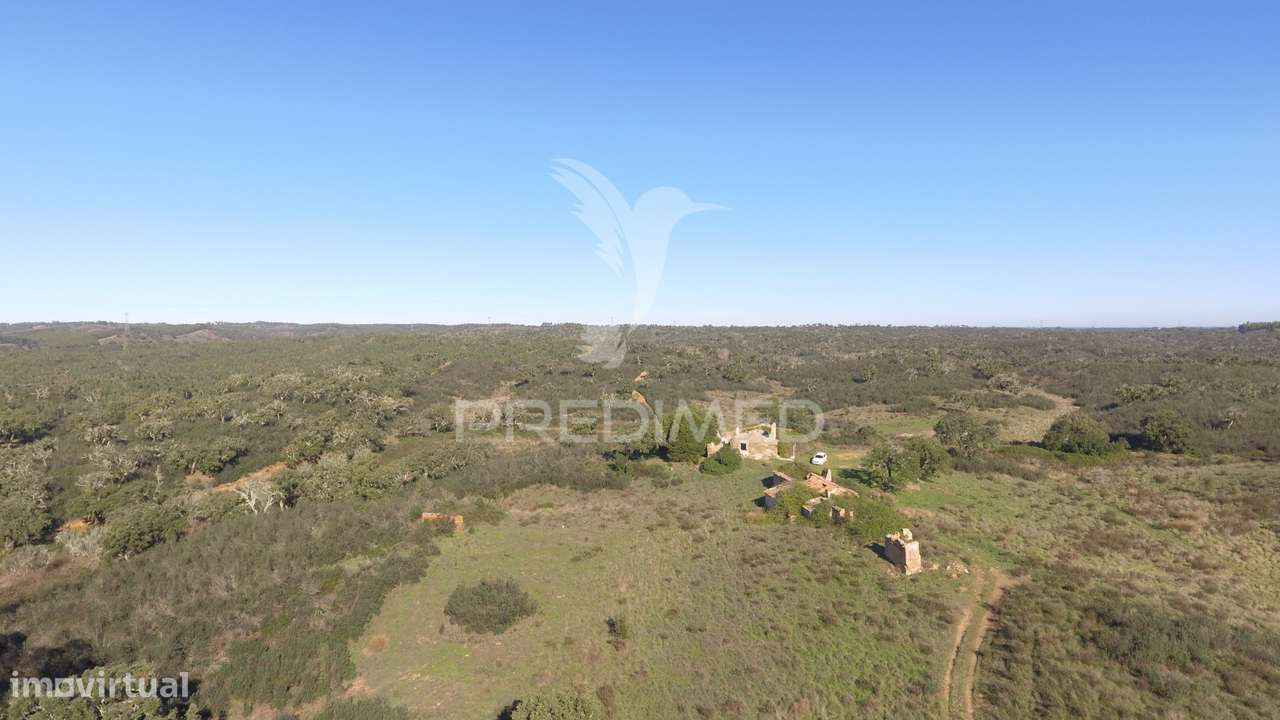 Herdade com 71 hectares e ruína de 174m2 - Grande imagem: 5/21