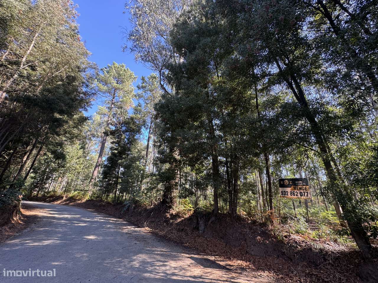 Terreno Florestal com 600 m de Frente de Estrada | Freiriz, Vila Verde-7
