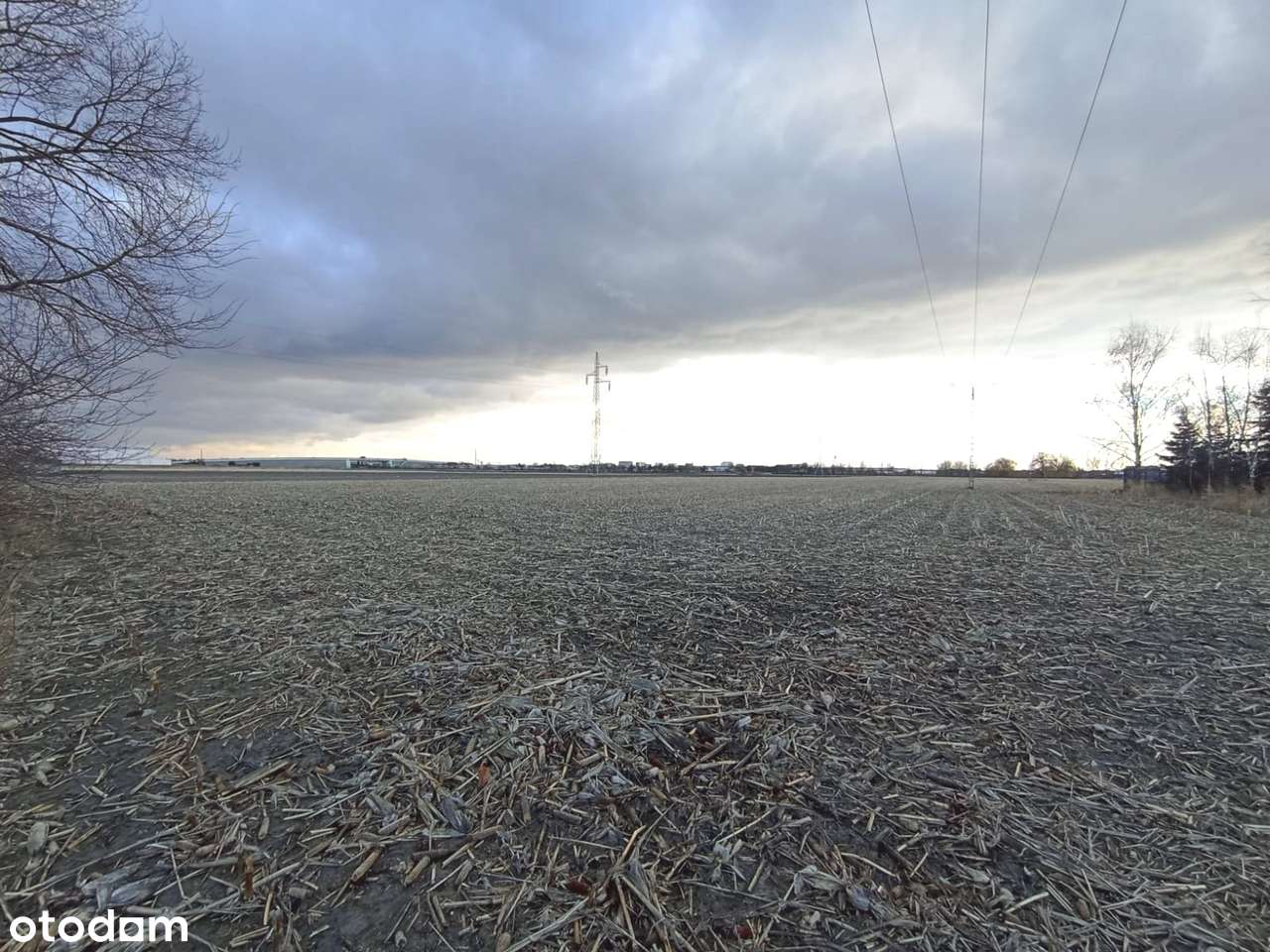 Działka inwestycyjna 3,2  ha Ożarów Mazowiecki DK92-5