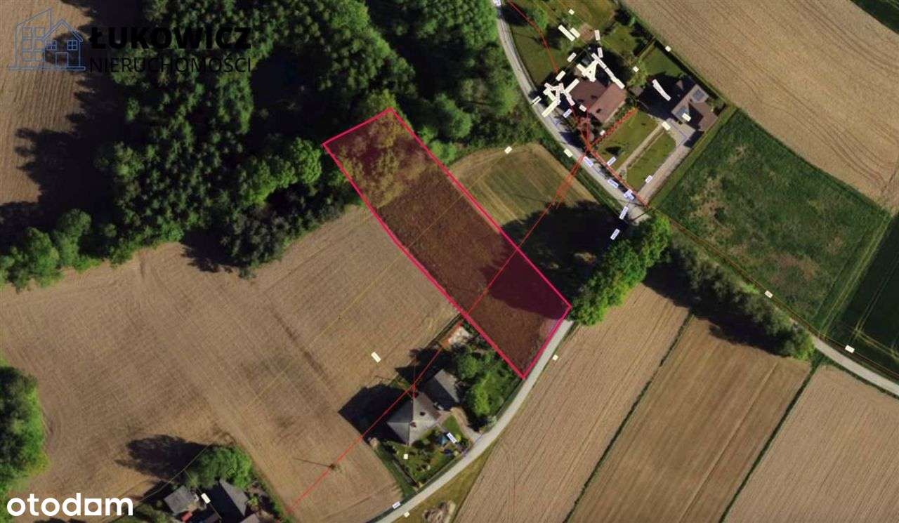 Działka 3057 m² w sąsiedztwie lasu! Dankowice-6