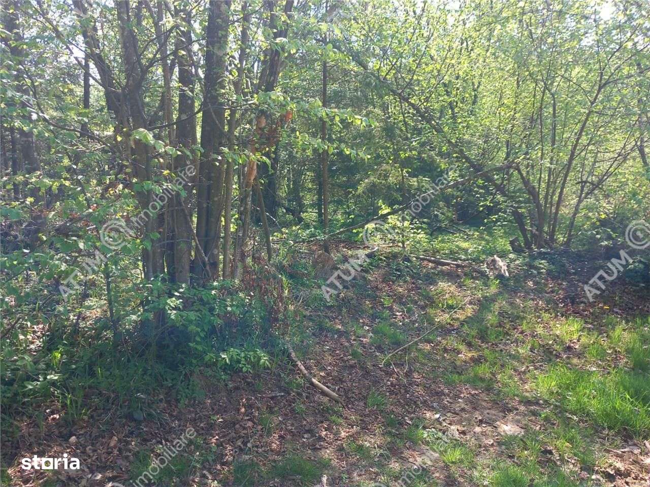 Teren intravilan 1300 mp de vanzare pe Valea Avrigului in zona Mlaci - Imagine principală: 2/3