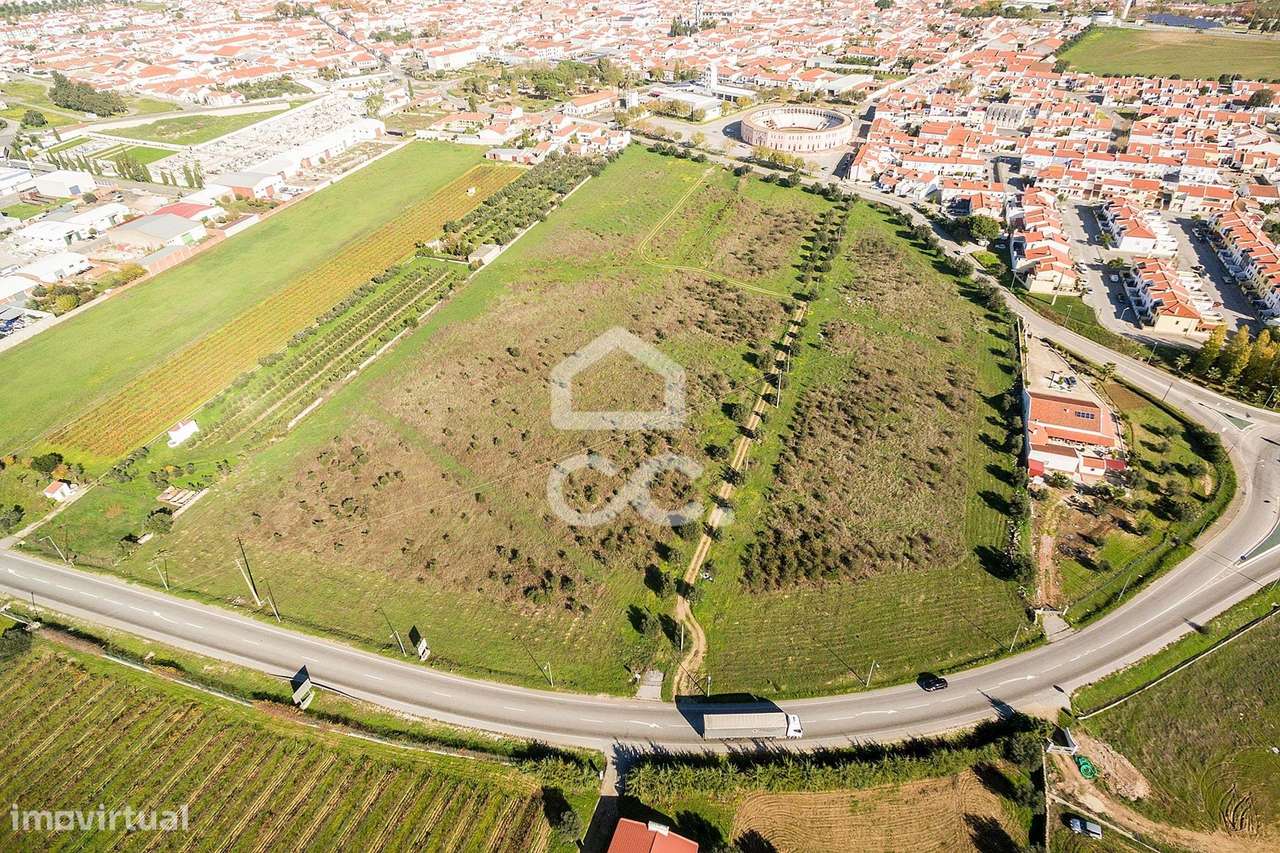 Terreno com 51.250 m2 para construção | Reguengos de Monsaraz - Grande imagem: 3/21