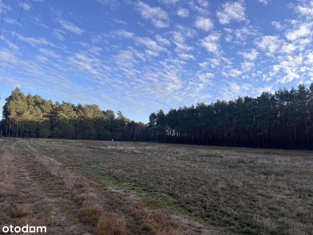 Działka w spokojnej okolicy lasu - Pełny obrazek: 5/5