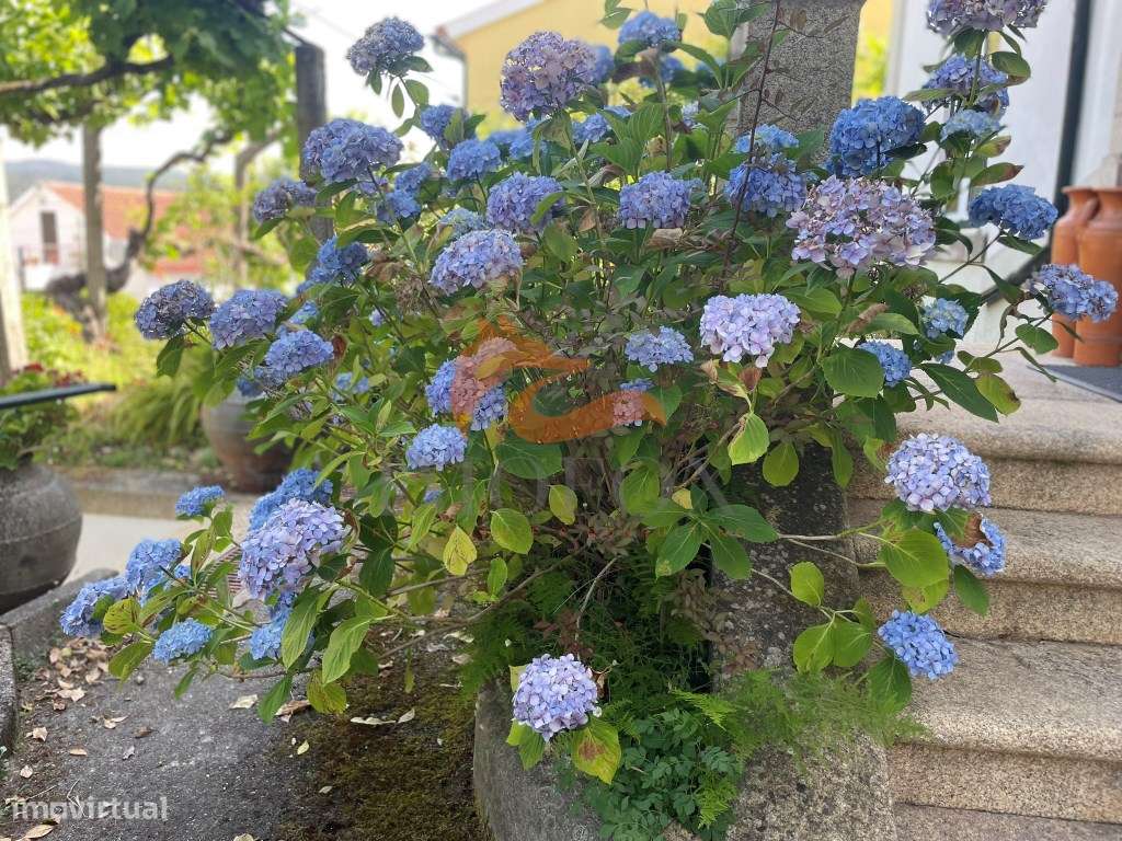 Casa da Montanha - O Refúgio Perfeito em Vila Cova de Alva, Arganil-3