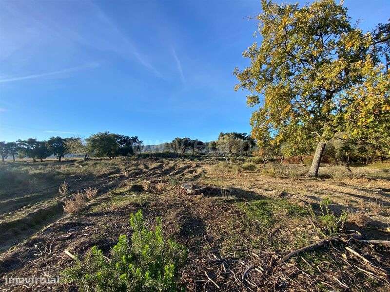 Quintinha / Fundão, Vale Prazeres - Grande imagem: 3/12