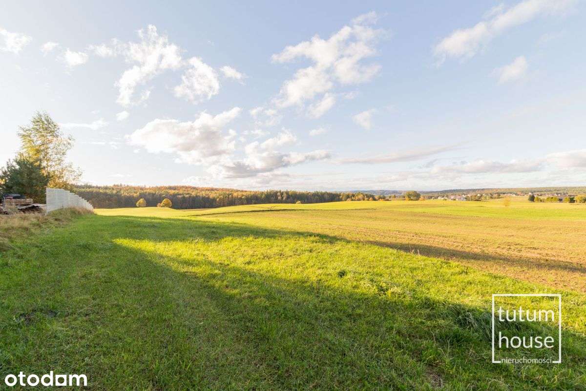 Luzino | Prąd+Woda | Mpzp - MN | Trasa Kaszubska!-5