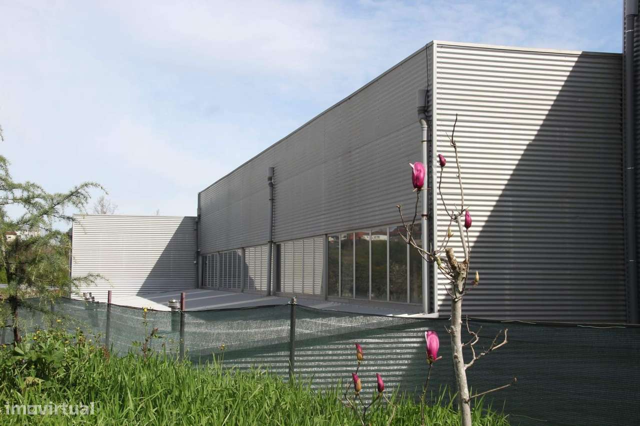 Armazém Industrial com Excelente Localização em Braga-7