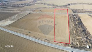 Teren extravilan 10000 mp langa Medias - oportunitate de investitie! - Imagine principală: 2/6