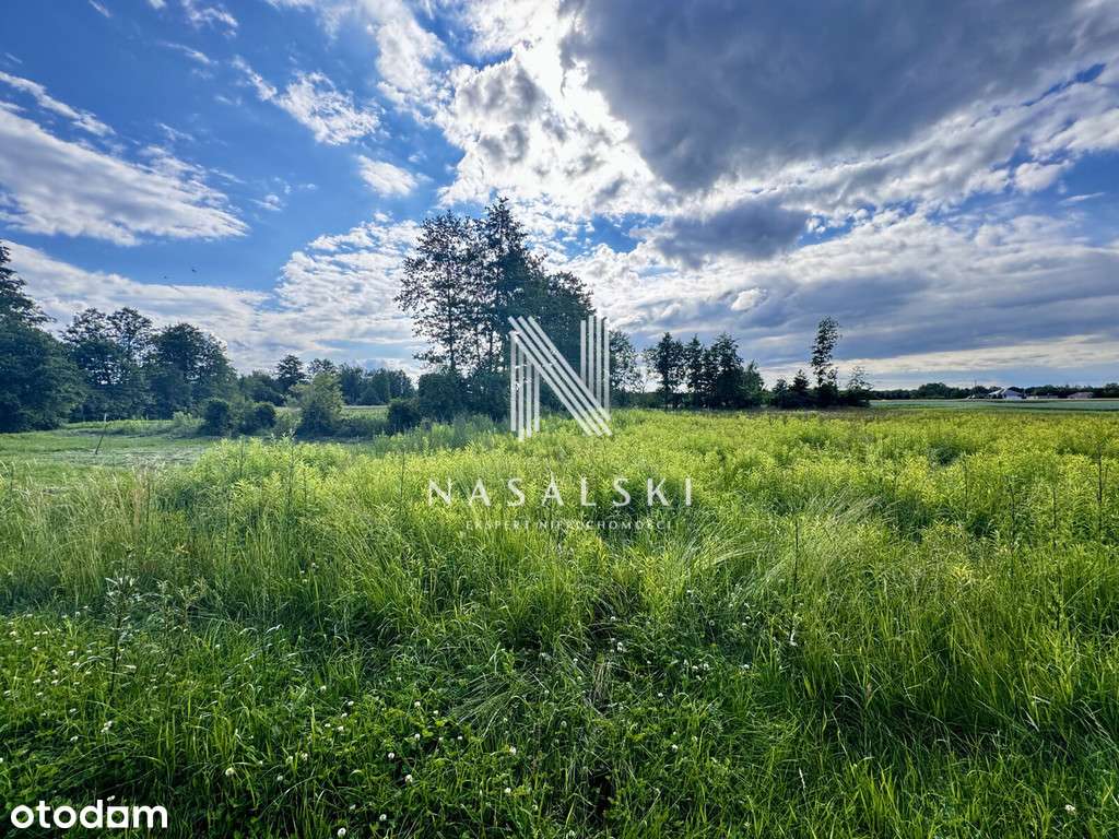 Niemcz działka budowlana 737 m2 - Pełny obrazek: 1/3