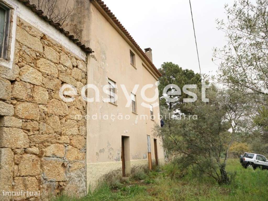 Quintinha com aproximadamente 4000 m2 em Gonçalo, Guarda - Grande imagem: 3/28