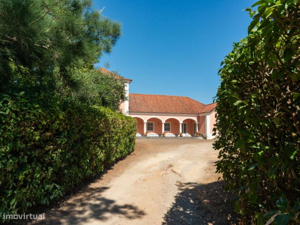Quinta, Tradição, Natureza e investimento a Menos de 1 Hora de Lisboa - Grande imagem: 4/51