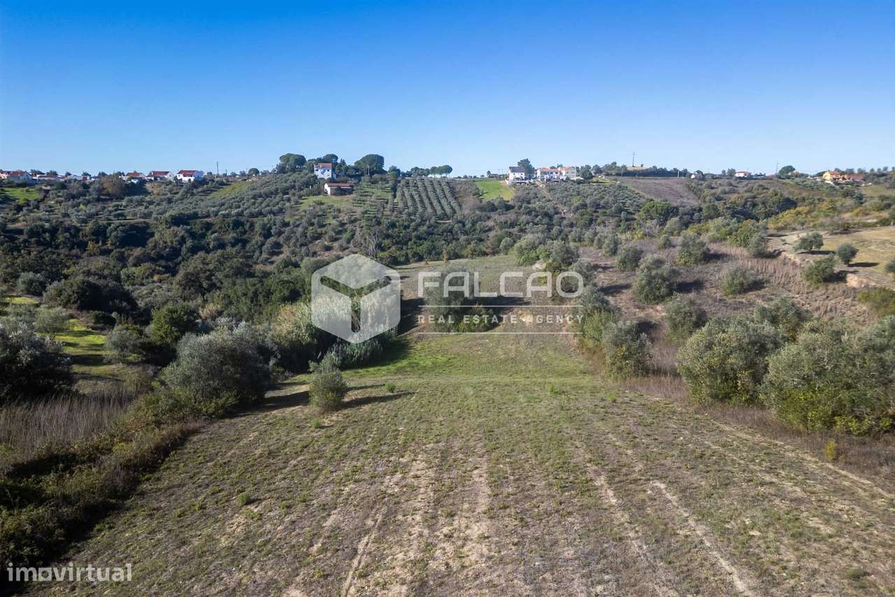 Terreno Para Construção  Venda em Moçarria,Santarém-9