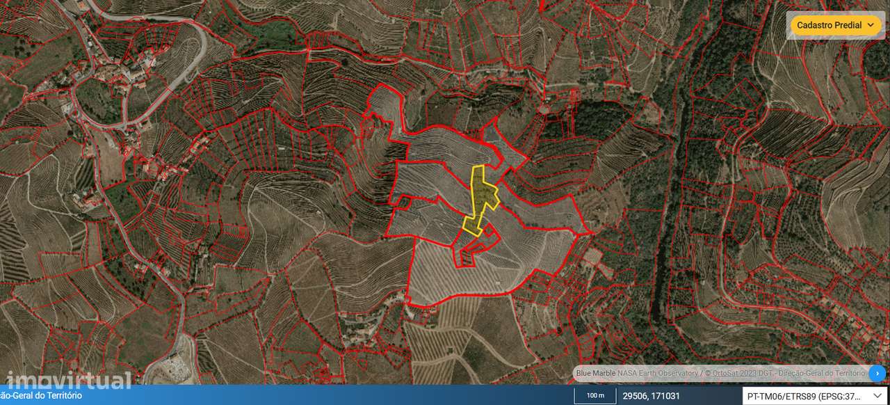 Vinha em Lobrigos -cerca 6000 m2 - Grande imagem: 2/2