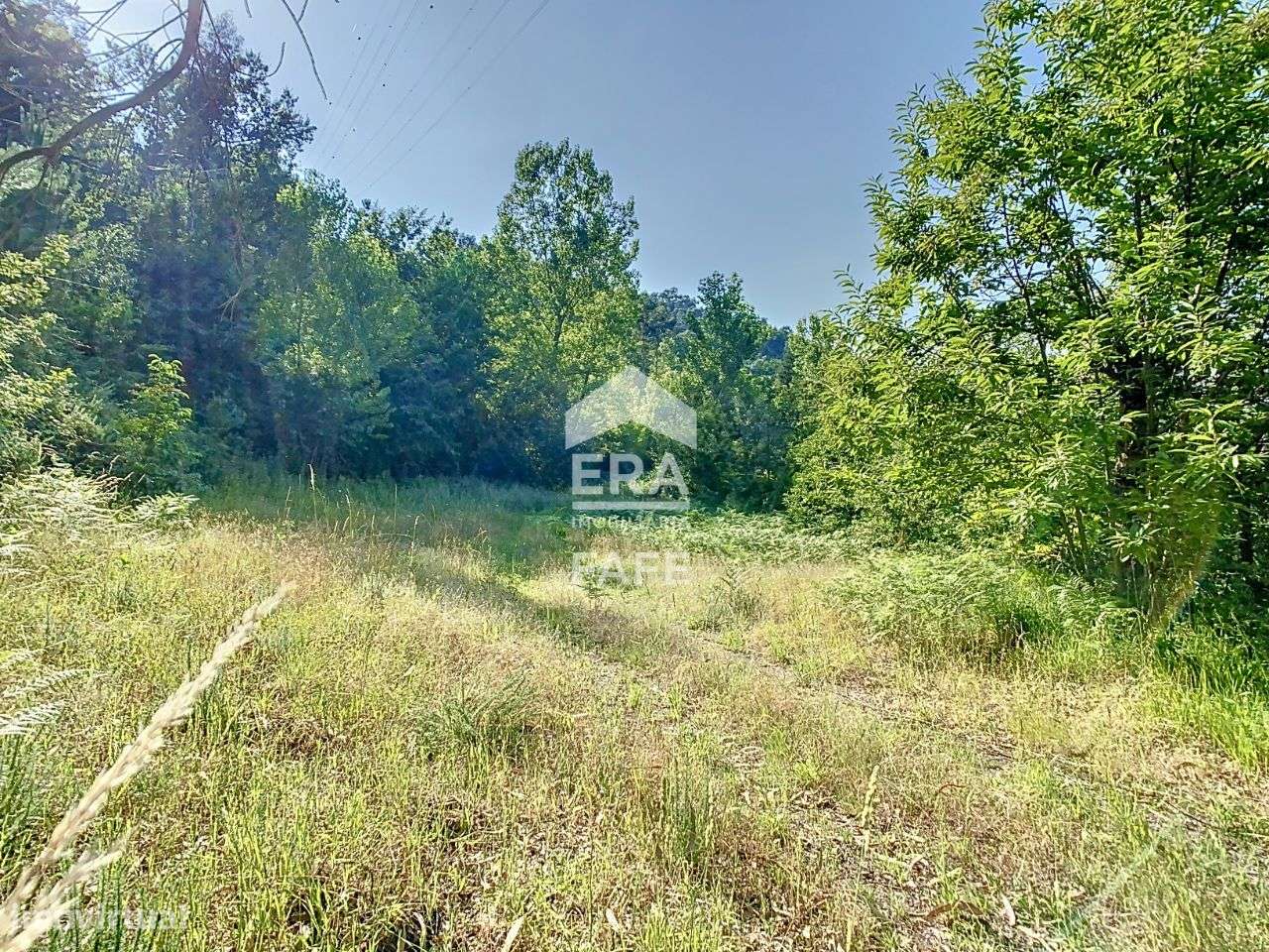 Terreno - Grande imagem: 5/7