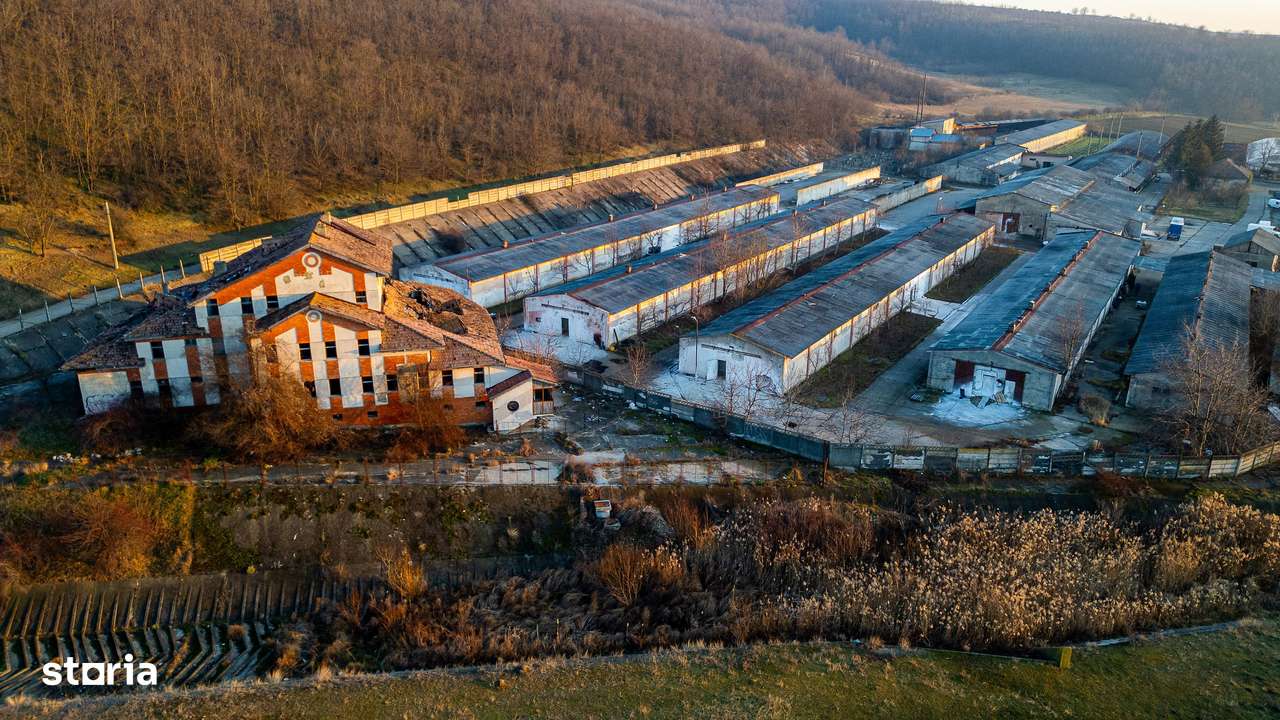 Fosta Ferma a Partidului de la Horgesti - de vanzare-14